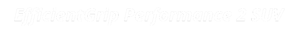 Efficient Grip Performance 2 SUV