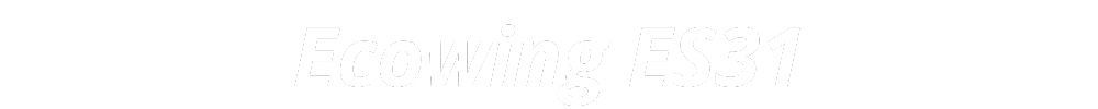 Ecowing ES31